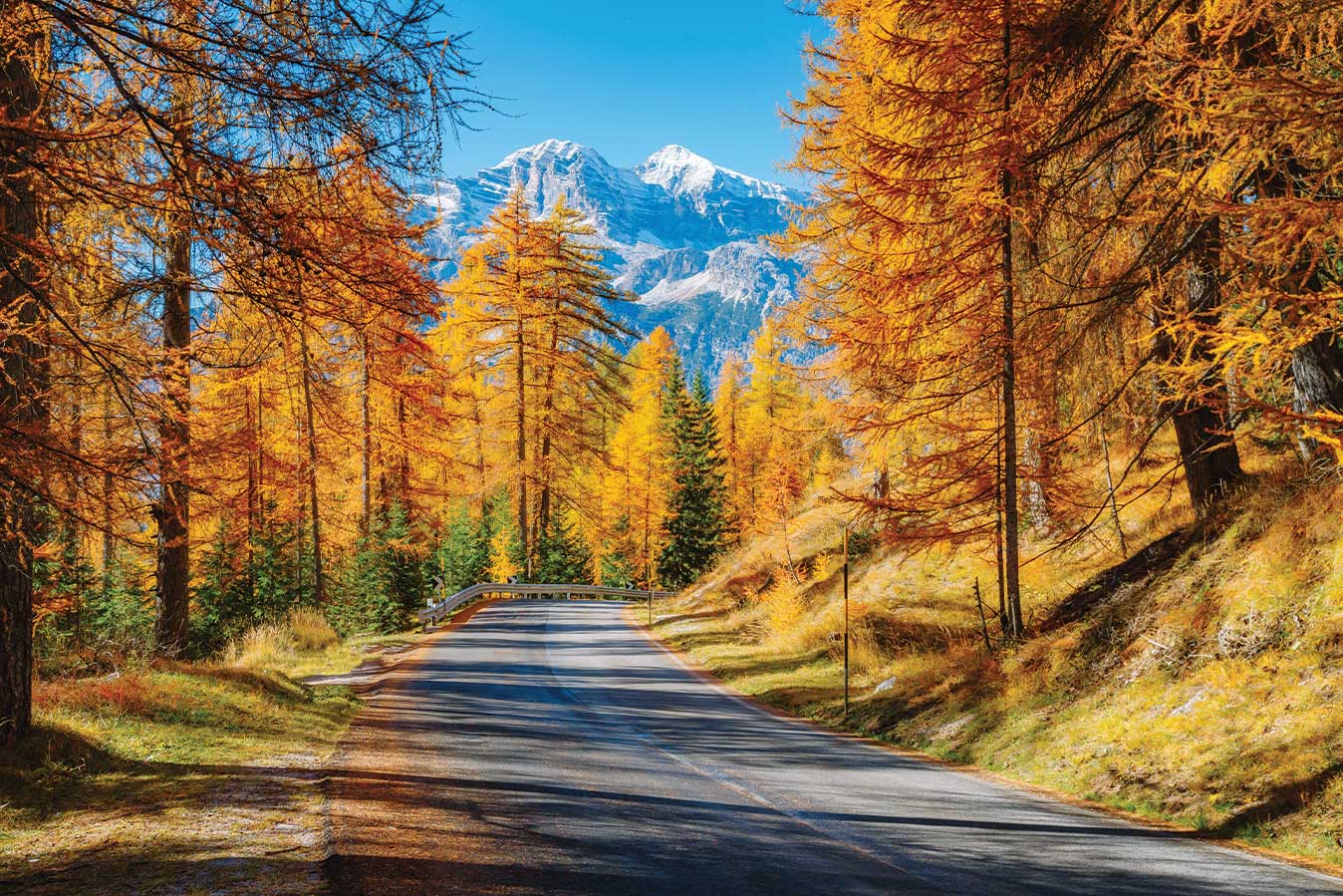 Best Fall Drives in Colorado for Foodies