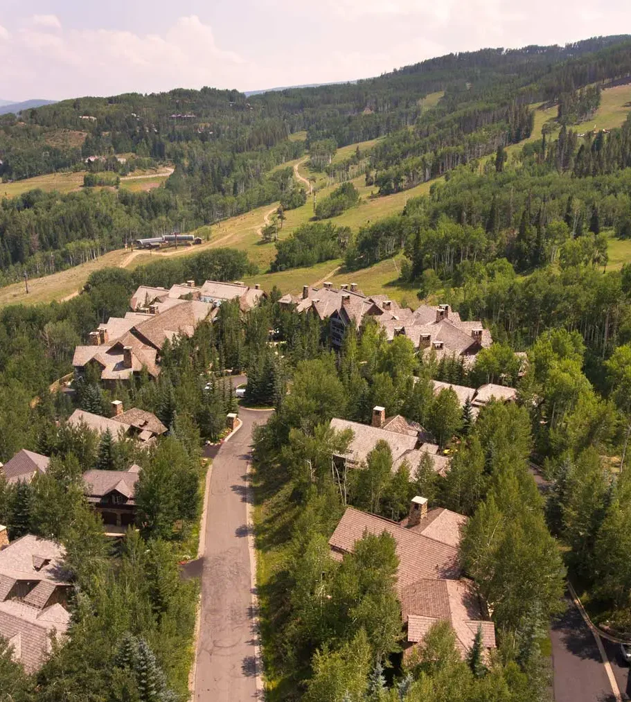 Aerial view of a luxury villa rental nestled in a lush, forested area with mountain scenery in the background.