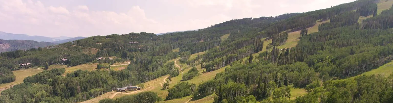 Aerial view of a forested mountainous landscape with a luxury villa rental nestled among the trees.