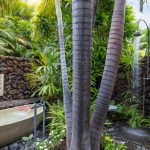 Outdoor shower and bathtub surrounded by lush tropical plants and stone wall.