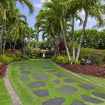 Lush tropical garden pathway with palm trees and colorful foliage.